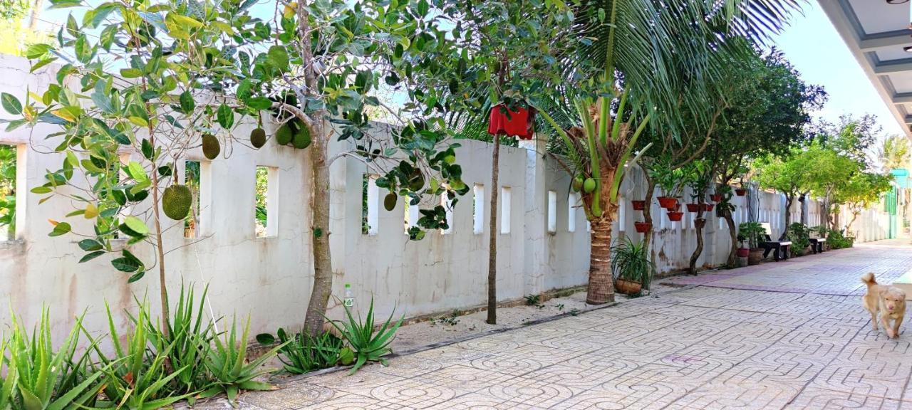 Cat Tien Guesthouse Mũi Né Exteriér fotografie