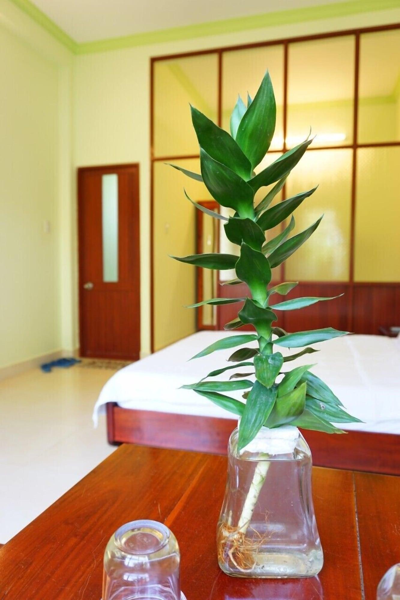 Cat Tien Guesthouse Mũi Né Exteriér fotografie
