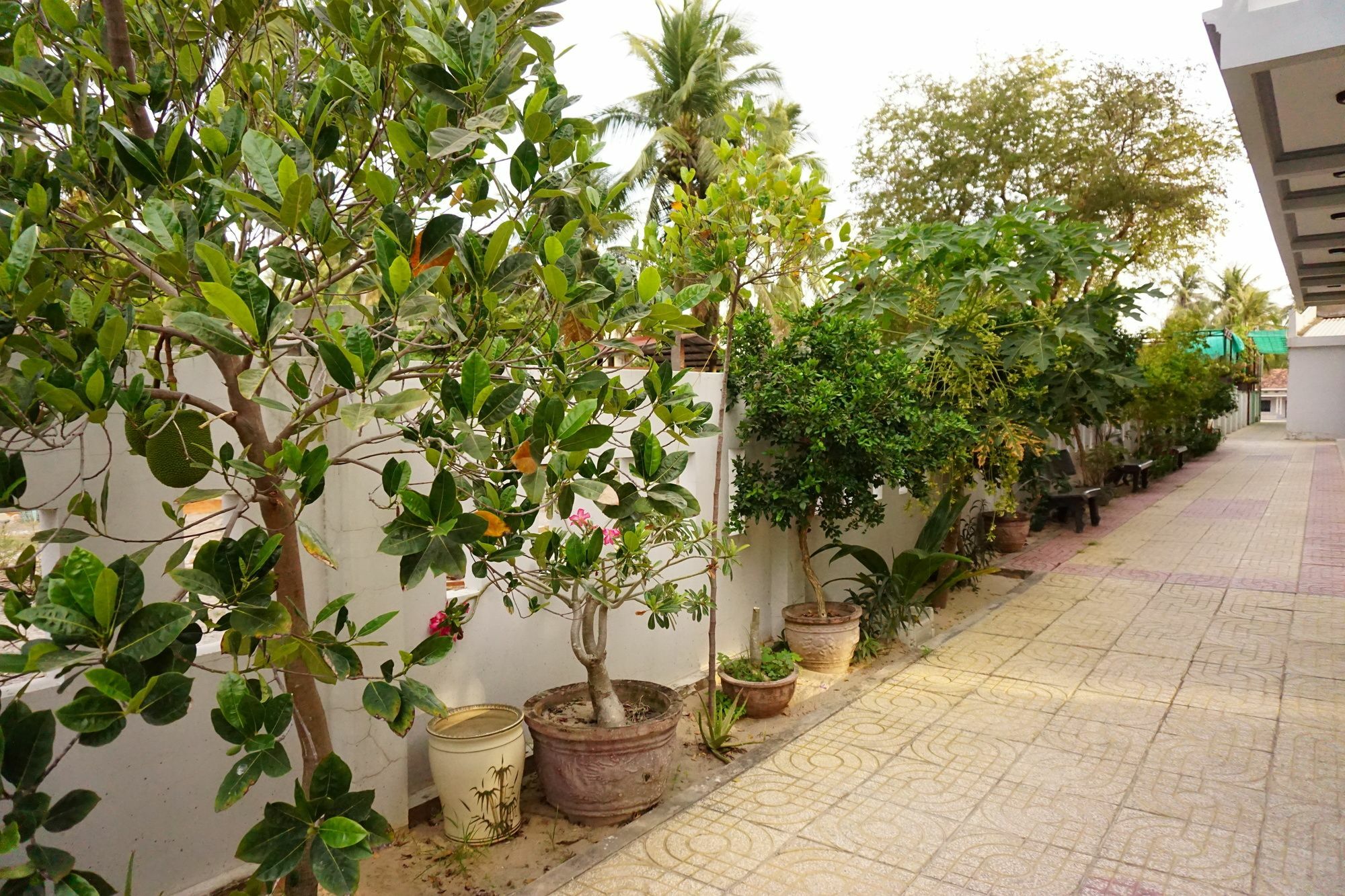 Cat Tien Guesthouse Mũi Né Exteriér fotografie